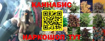 амф Ливны