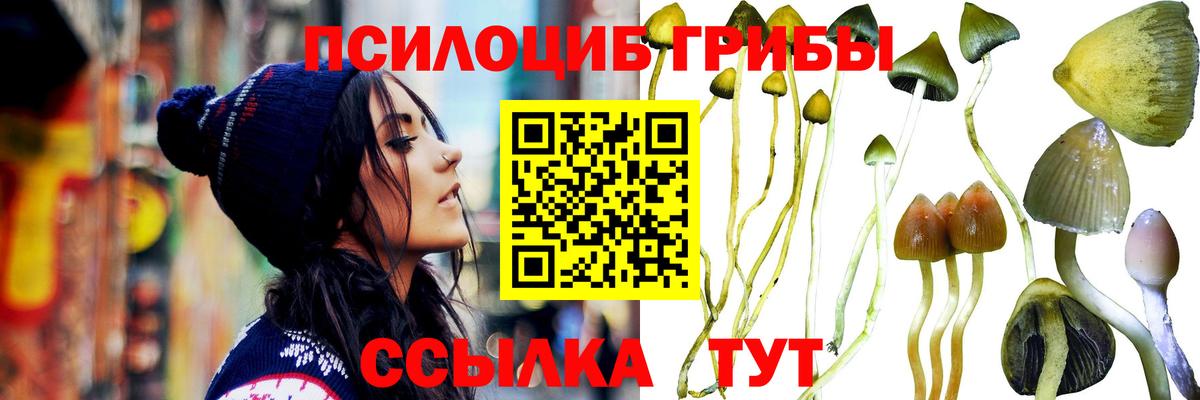 Галлюциногенные грибы мухоморы  Вход с VPN  Чусовой 